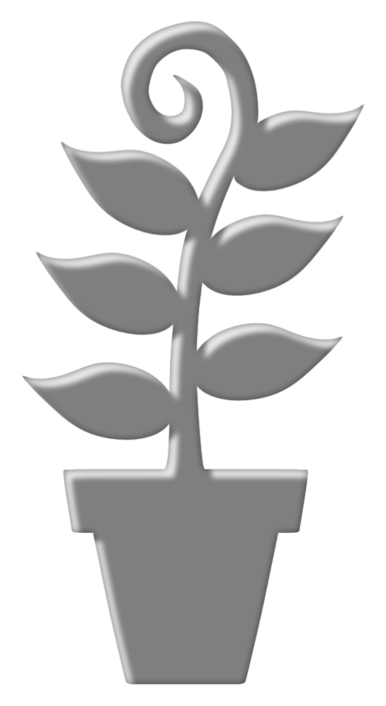 Seed